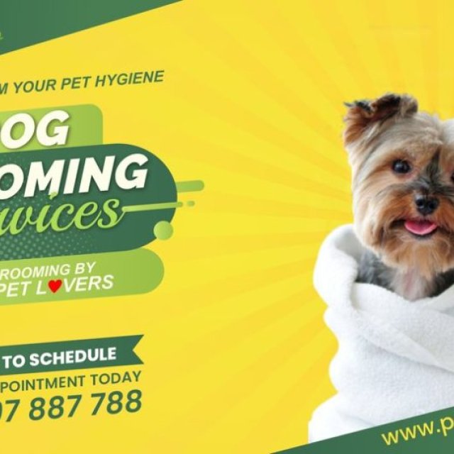 Dog Grooming Services in Bangalore - petsfolio
