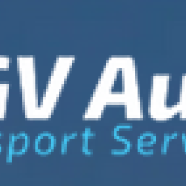 RGV Auto Transport Services INC