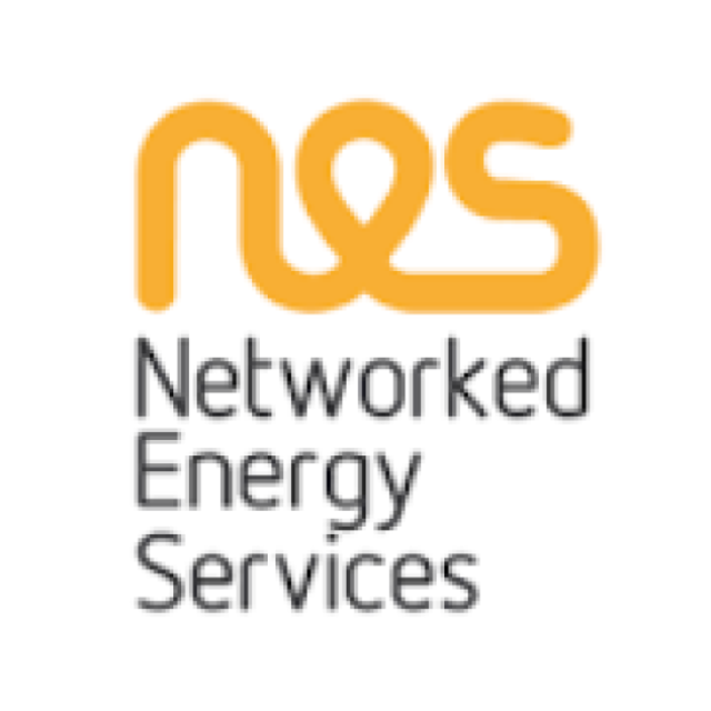 Networked Energy Services