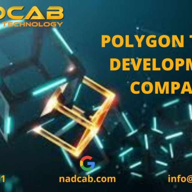 Polygon Token Developers In Pune