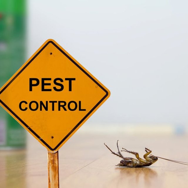 ProServ Pest Pte Ltd