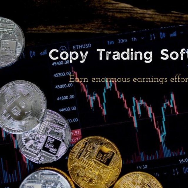 Copy-trading software - Boon to crypto tots