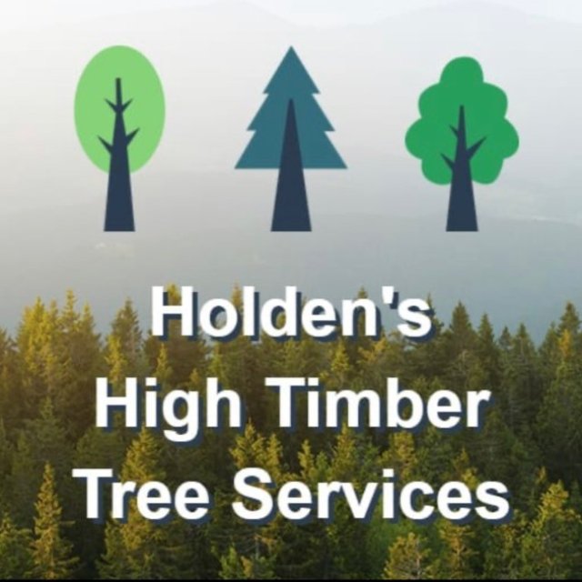 Holden's High Timber Tree Service