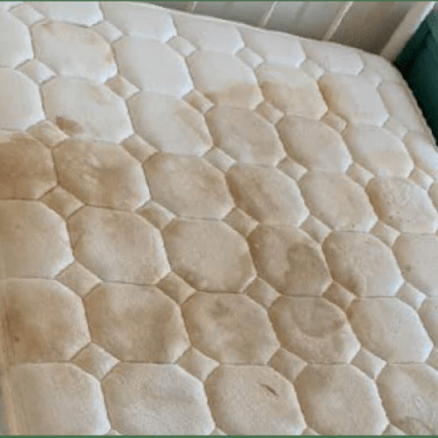 Mattress Cleaning Adelaide