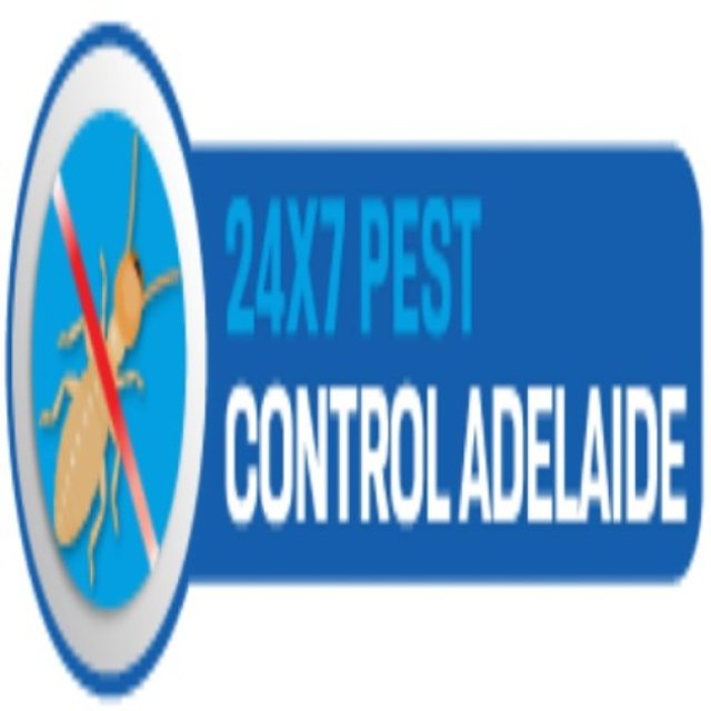 Spider Extermination Adelaide