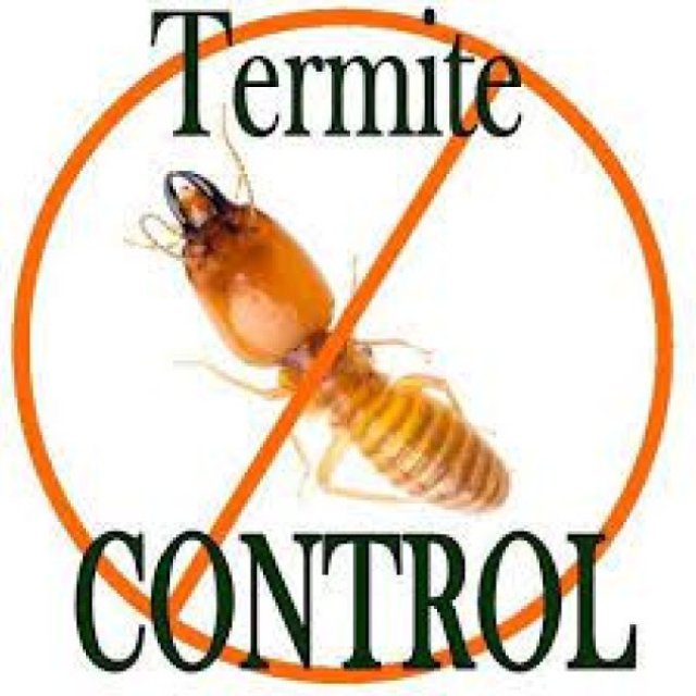 Canberra Termite Treatment