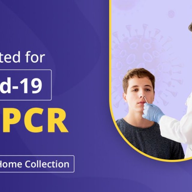 RT PCR Test Delhi