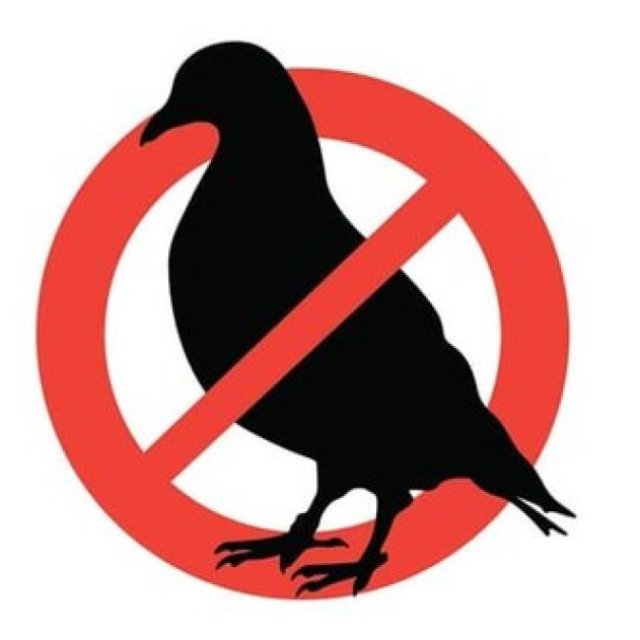 Bird Pest Control Melbourne