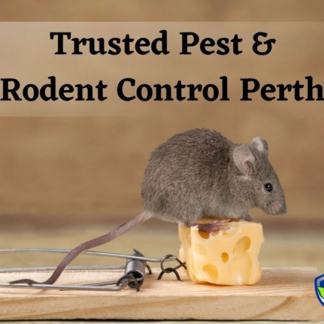 Trusted Rodent Control Perth