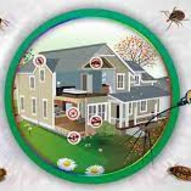 Home Pest Control Melbourne
