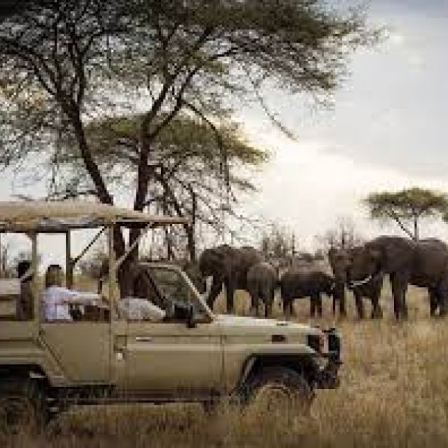 Extraordinary Safaris