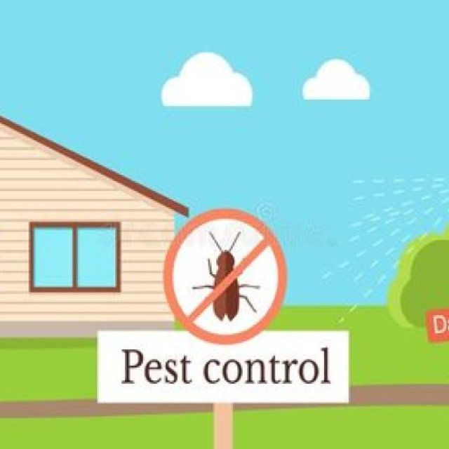 Pestico Pest Control Brisbane