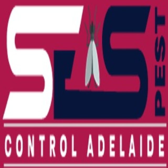 Flea Pest Control Adelaide