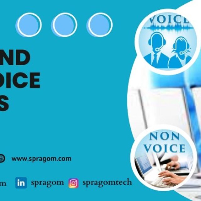 Voice and Non-Voice Process  - Spragom