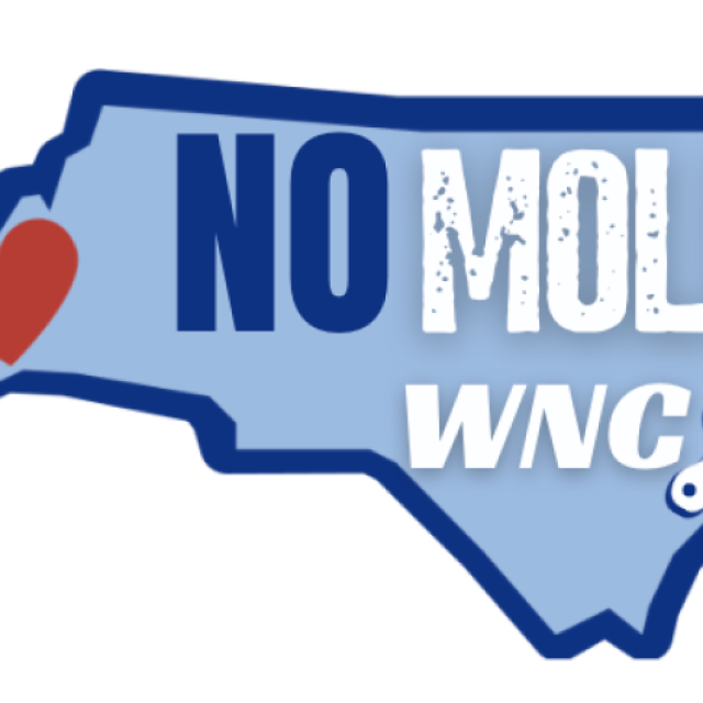 NO MOLD WNC