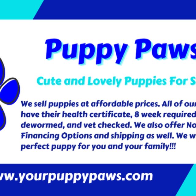 Puppy Paws LLC