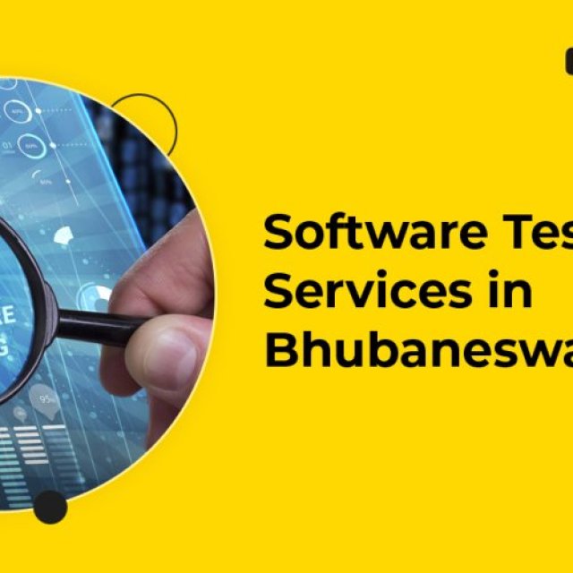 Software Testing Services in India