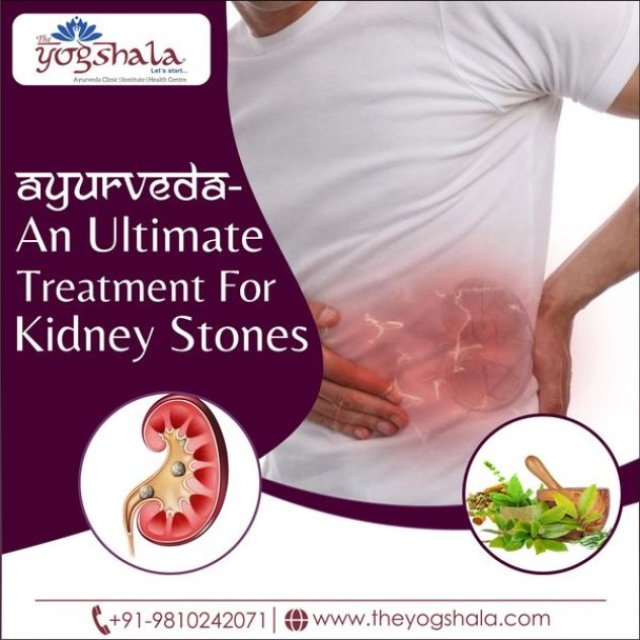 Ayurvedic Treatment For Kidney Stones In Kalkaji Delhi