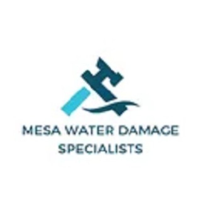 Mesa Water Damage Restoration Specialists