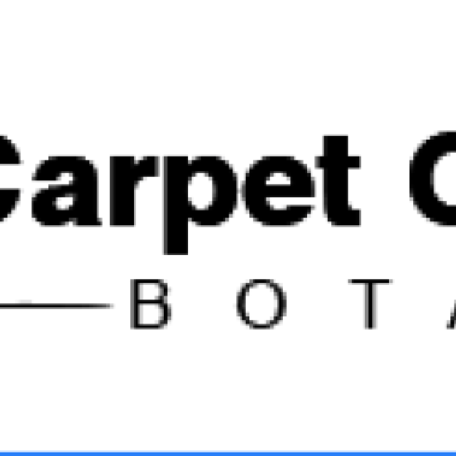 Carpet Cleaning Botany