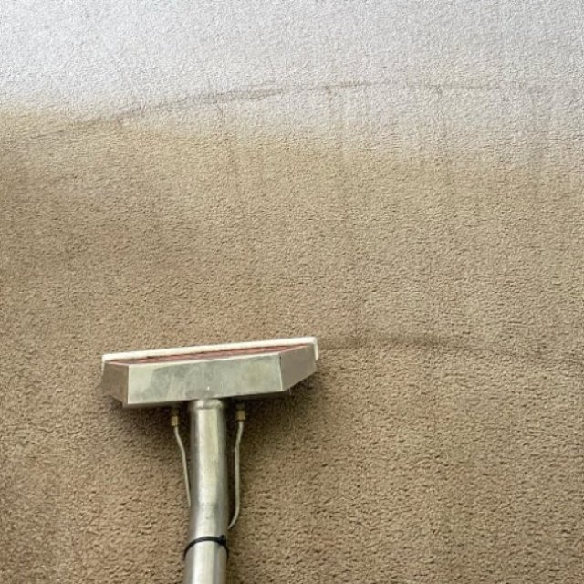 Carpet Cleaning Paradise