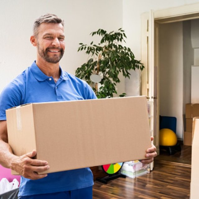 SKYWING PACKERS MOVERS