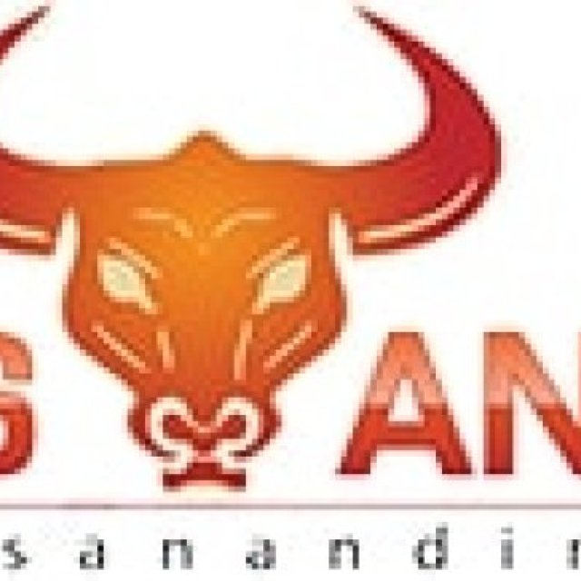 J&S Anand INC