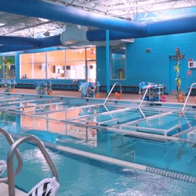 Bear Paddle Swim School - Aurora