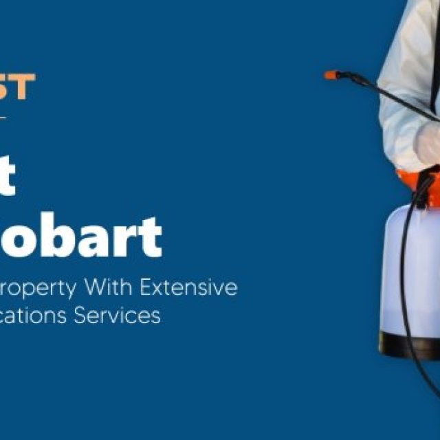 Borer Inspection and Removal Service Hobart