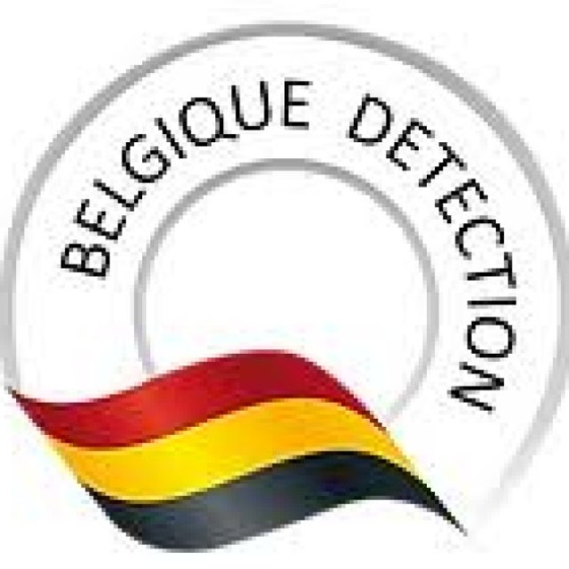 Magasin de détective de métaux en Belgique