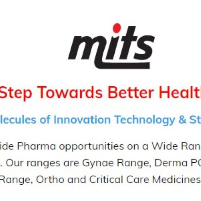 Mits Healthcare Private Limited