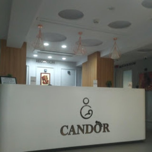 Candor IVF