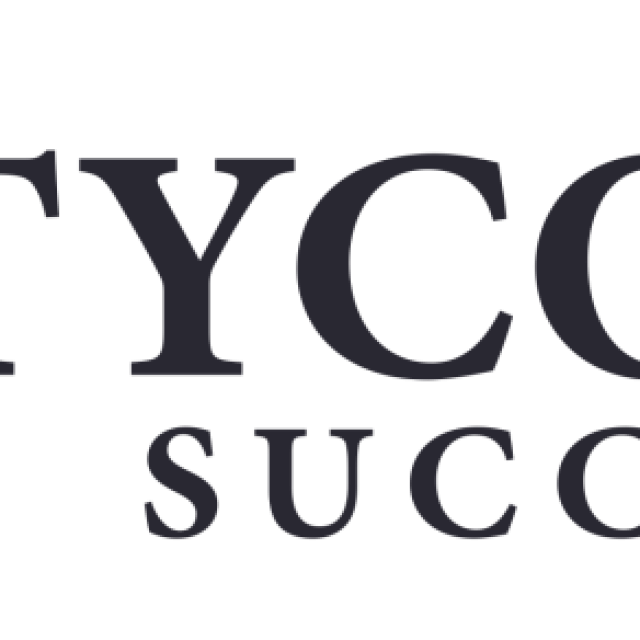 Tycoon Success