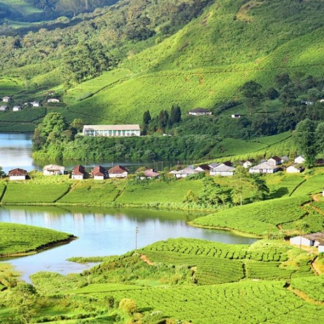 Munnar Tour Packages For 3 Days