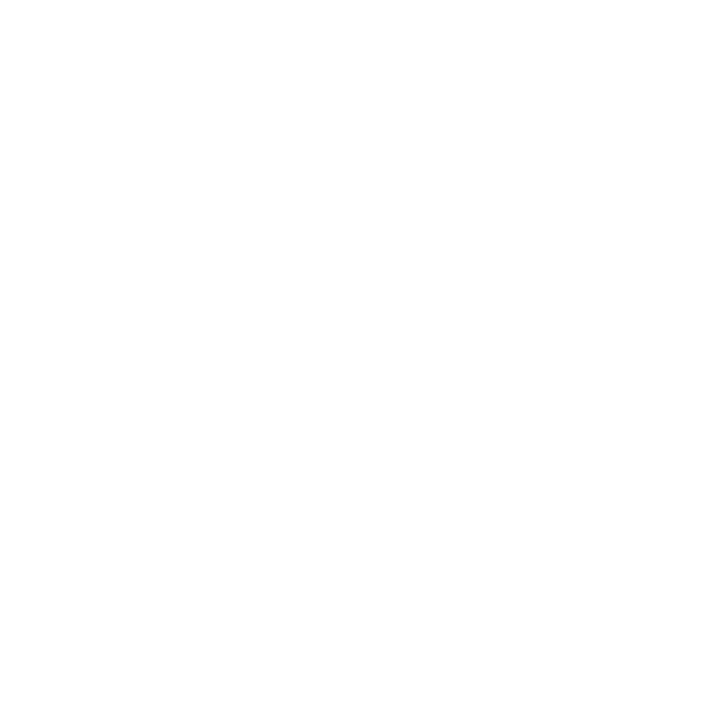 lvnu digital