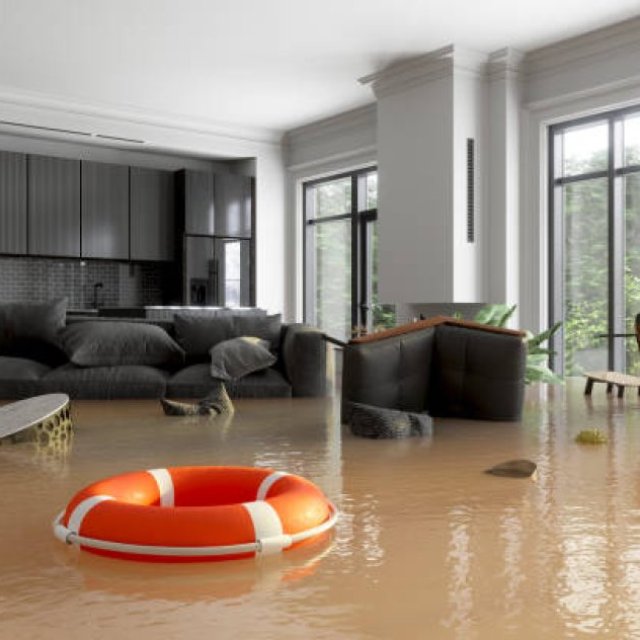 Great Flood Damage Restoration Brisbane