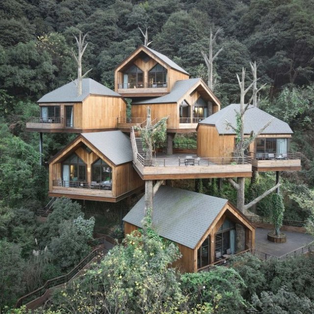 Tree Nest Resort