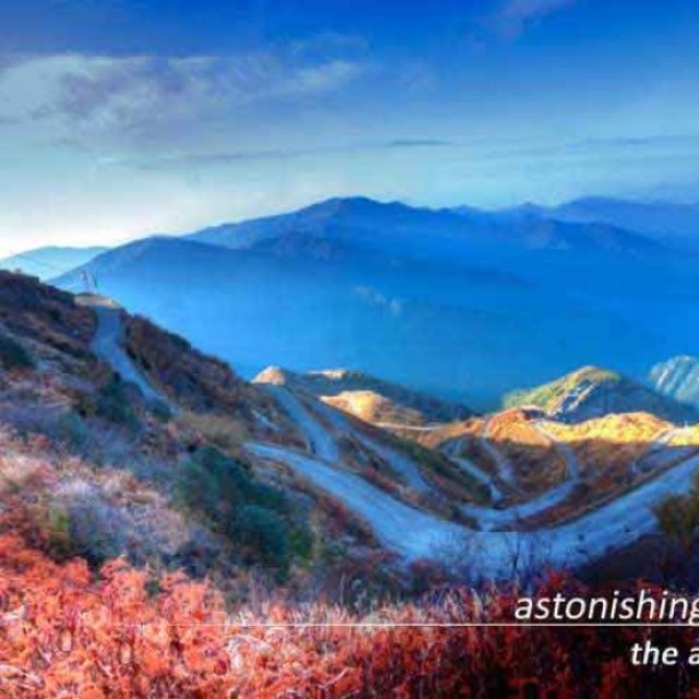 Looking for Zuluk Tour Get The Best Deal of Sikkim Silk Route Package Tour With Naturewings