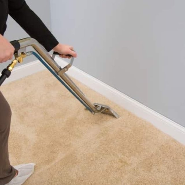 City Carpet Cleaning Hornsby