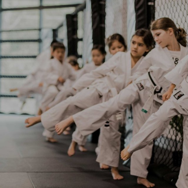 VT1 Martial Arts Academy