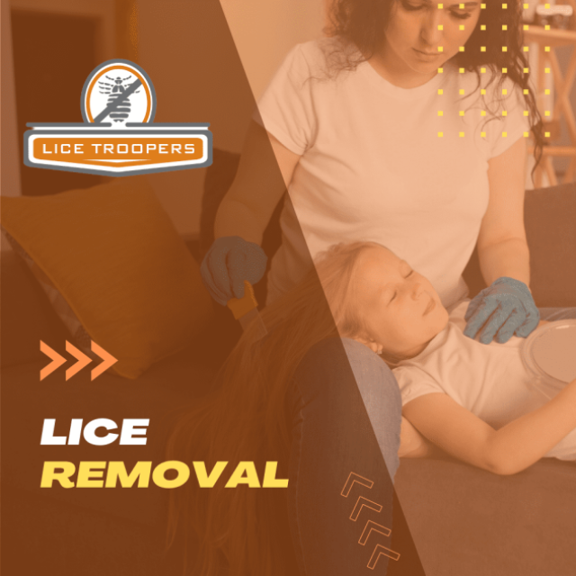 Lice Troopers Lice Removal & Lice Treatment Clinic