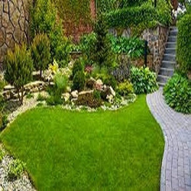 Mountain View Landscaping Inc.