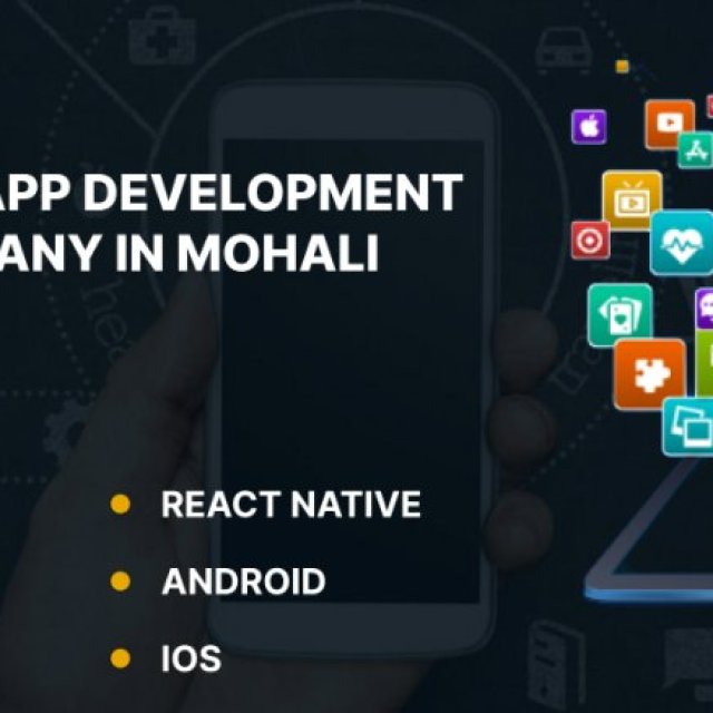 Best Software Development Company In Mohali | Ameotech Informatics
