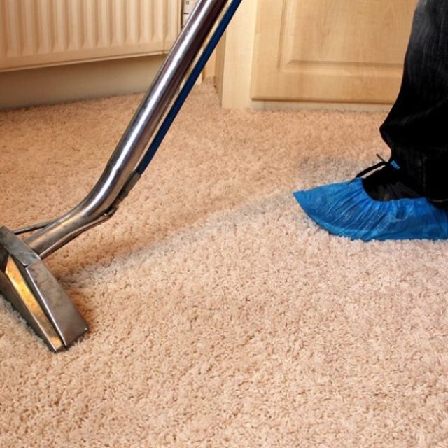 City Carpet Cleaning Woody Point