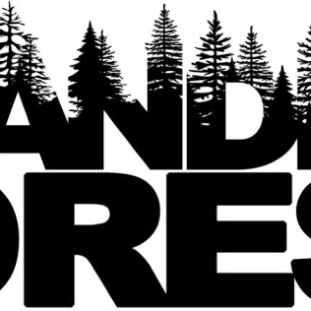 Branding Forest Company in New Jersey USA