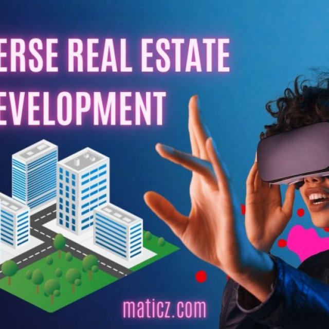 Metaverse real estate Development Company