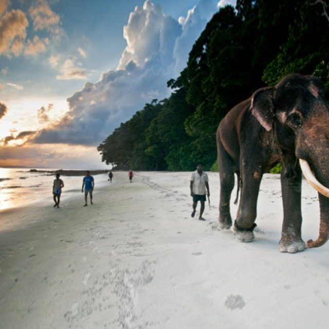 Andaman Honeymoon Tour Packages from Kolkata by NatureWings Holidays