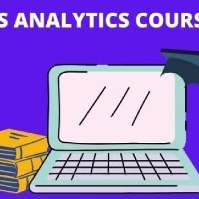 Business Analytics Courses in Delhi
