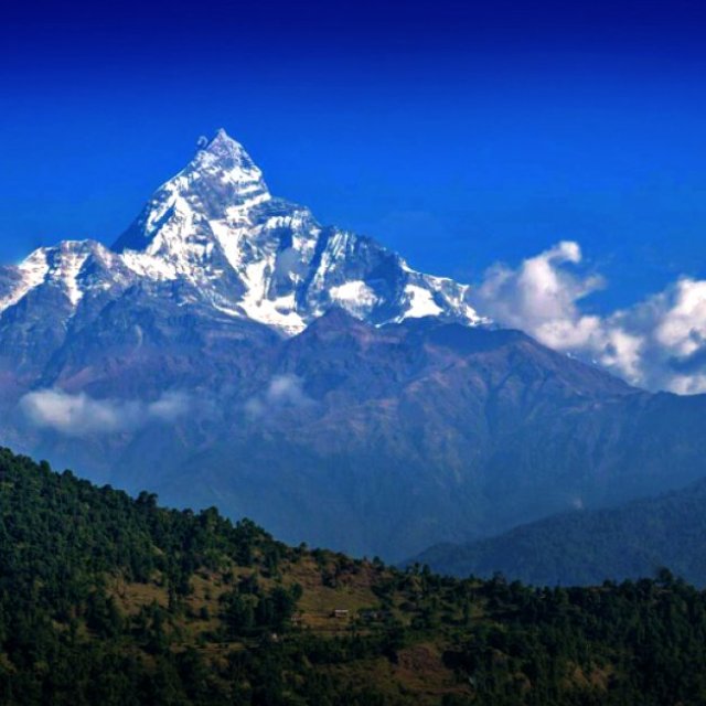 Nepal Package Tour from India - Best Rate from NatureWings, Book Now!