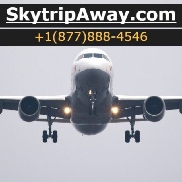 SkyTripAway